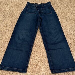 Madewell Indigo Wide-Leg Jeans